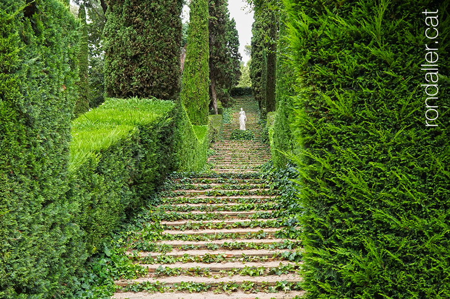 Jardins de Santa Clotilde. Una de les llargues escalinates vorejada de bardisses.